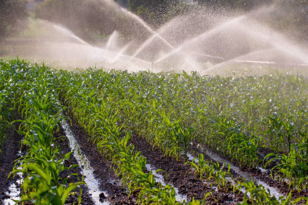 Irrigation & Water Supply